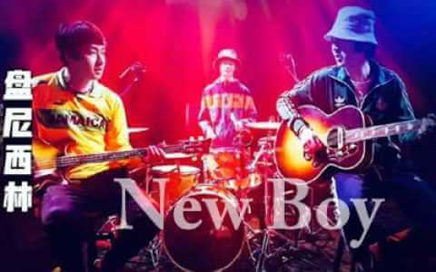 New Boy吉他谱-盘尼西林-D调弹唱谱-乐队的夏天