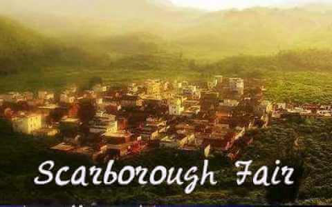 斯卡布罗集市吉他谱-C调-Scarborough Fair弹唱谱