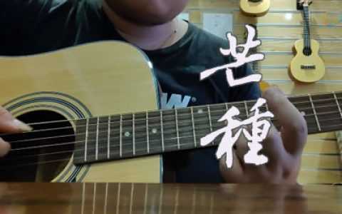 芒种吉他谱-弹唱教学视频-赵方婧-G调六线谱