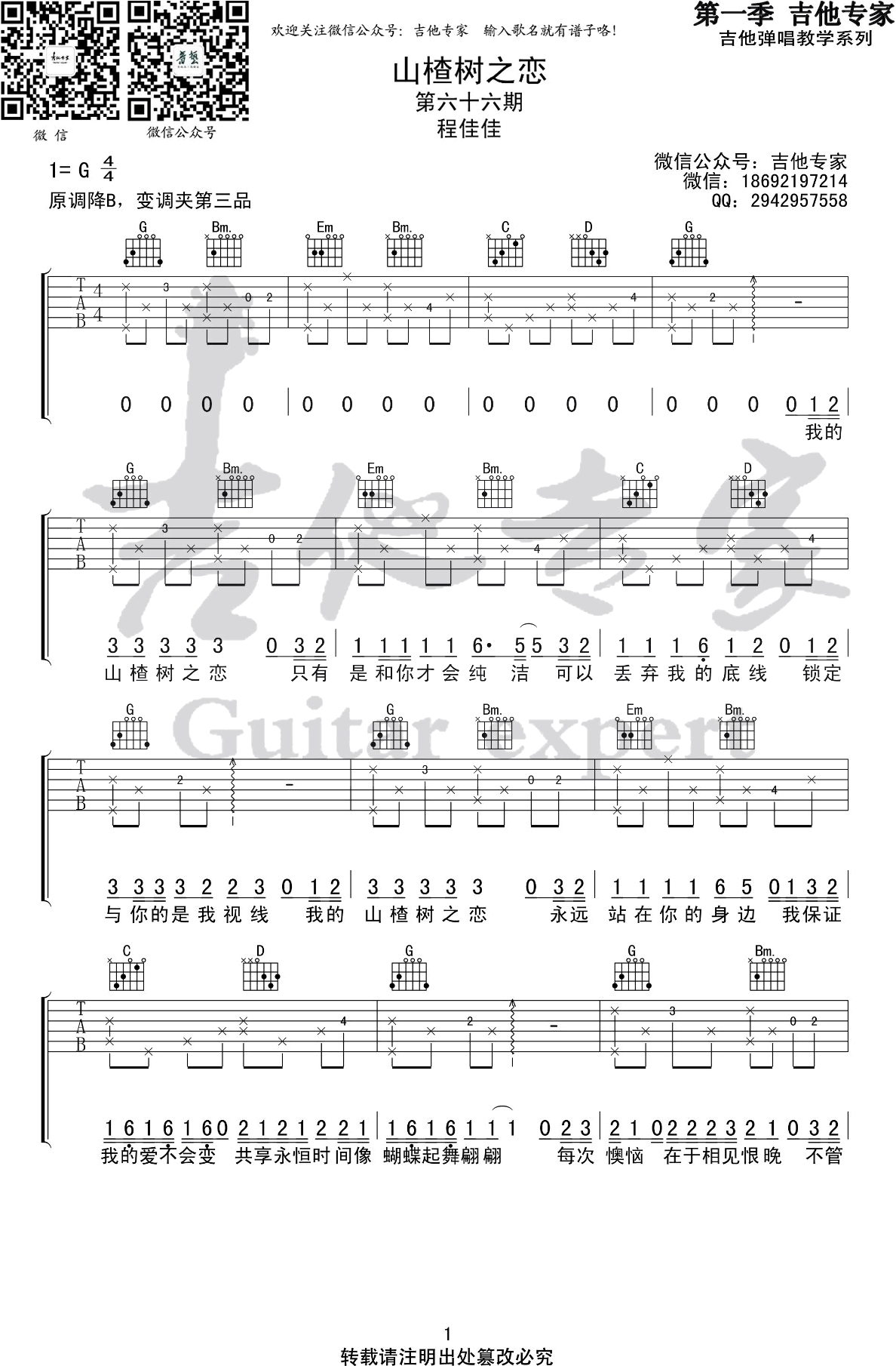 山楂树之恋吉他谱-程佳佳-G调-六线谱完整版插图
