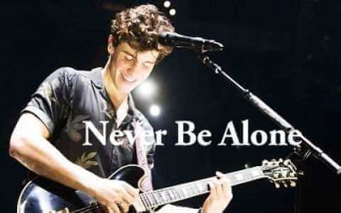 Never Be Alone吉他谱-Shawn Mendes-G调六线谱