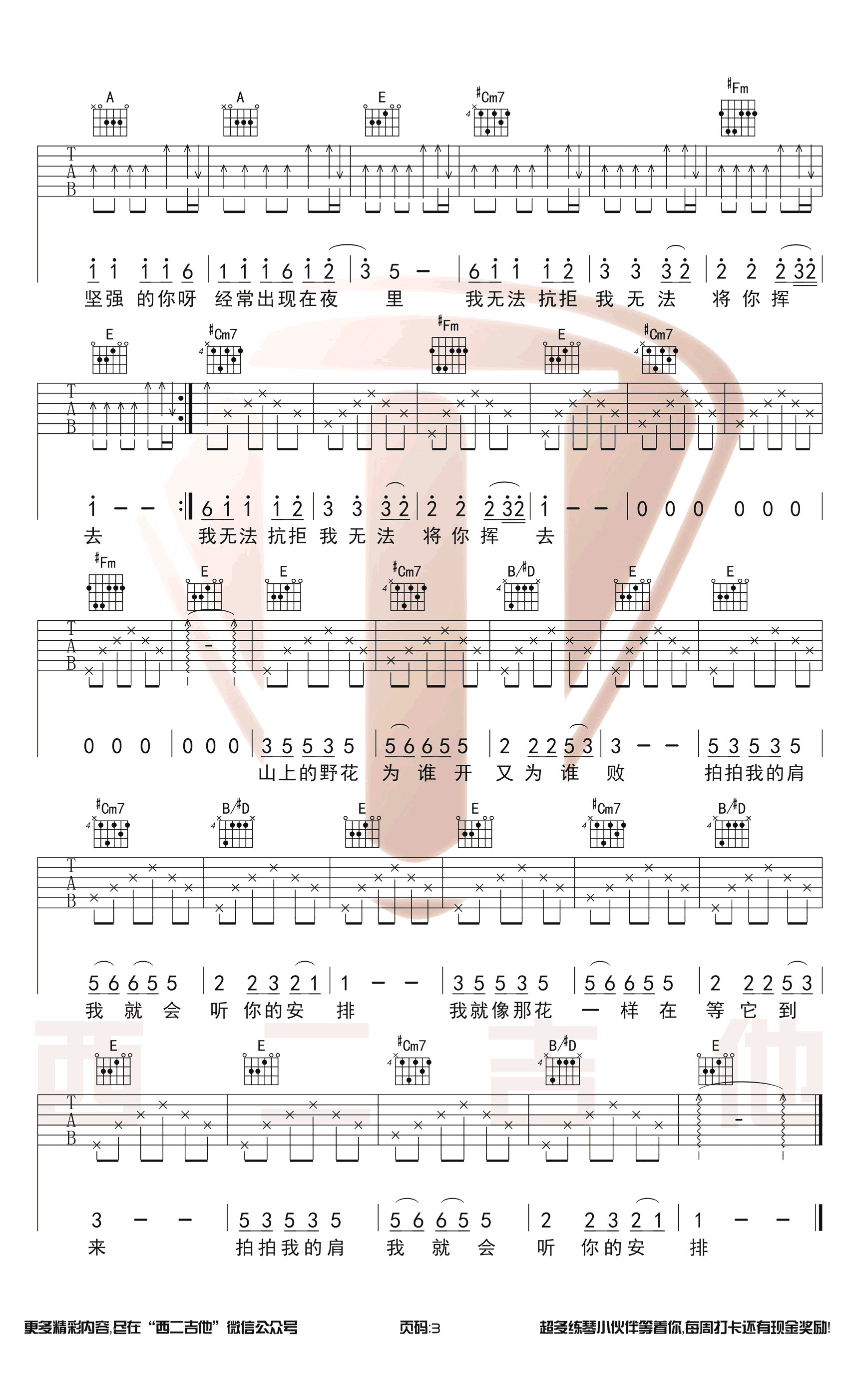 野花吉他谱-中国好声音版-康树龙&旦增尼玛-图片谱插图2