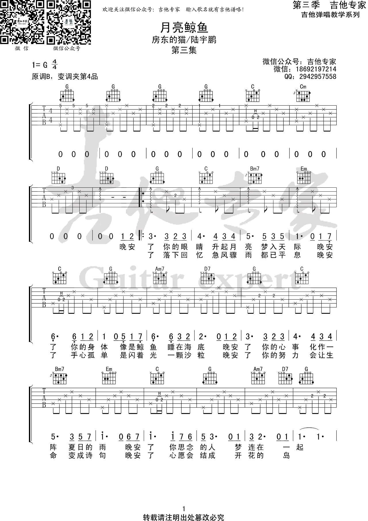 《月亮鲸鱼》吉他谱-房东的猫/陆宇鹏-G调弹唱谱插图