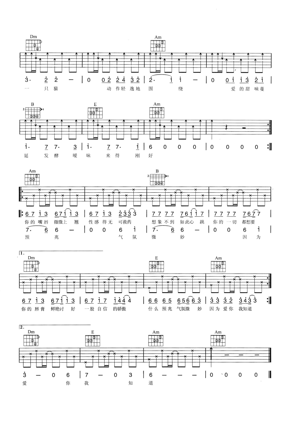 迷迭香吉他谱 C调六线谱-扫弦版-周杰伦插图4