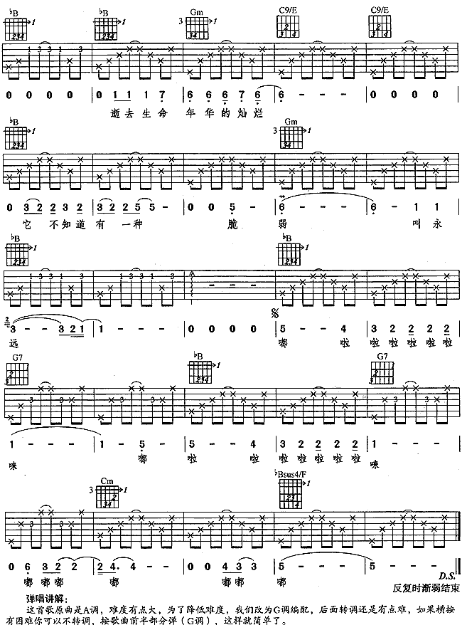 风花树吉他谱 G调六线谱-简单版-水木年华插图4