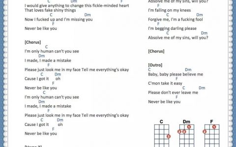 Never Be Like You - Flume ukulele谱