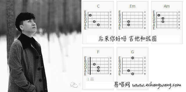张磊《后来你好吗》吉他谱插图