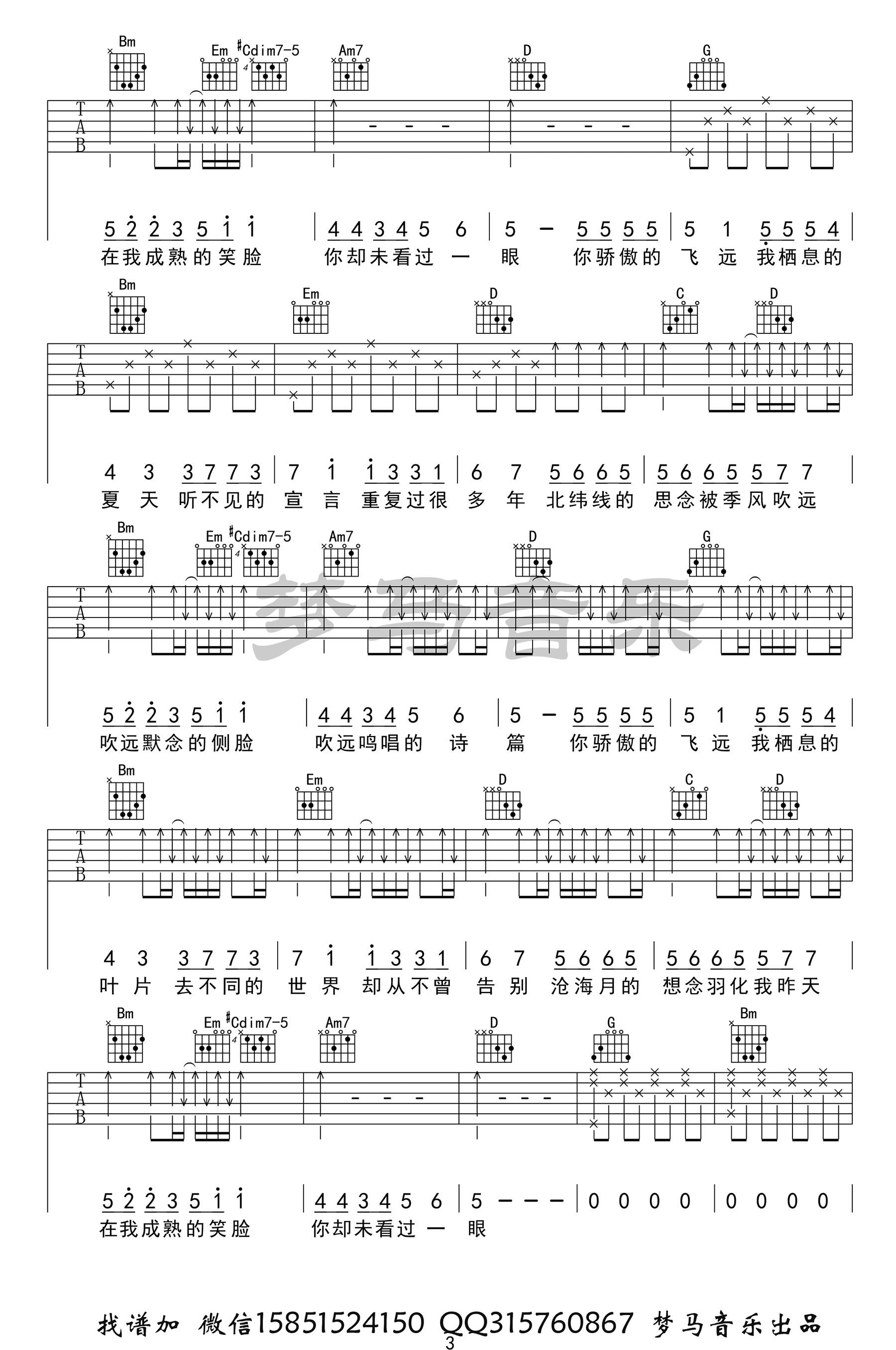 《飞鸟和蝉》吉他谱-任然-G调简单版弹唱六线谱-高清图片谱插图2