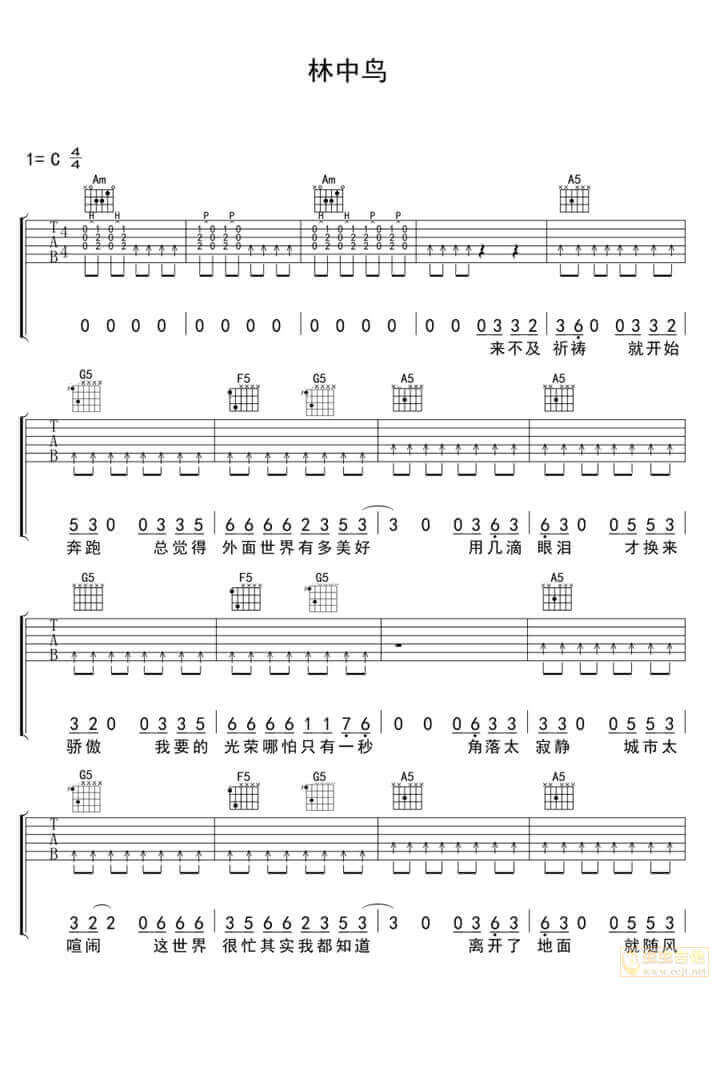林中鸟吉他谱-葛林-《林中鸟》C调简单版弹唱六线谱-高清图片谱插图