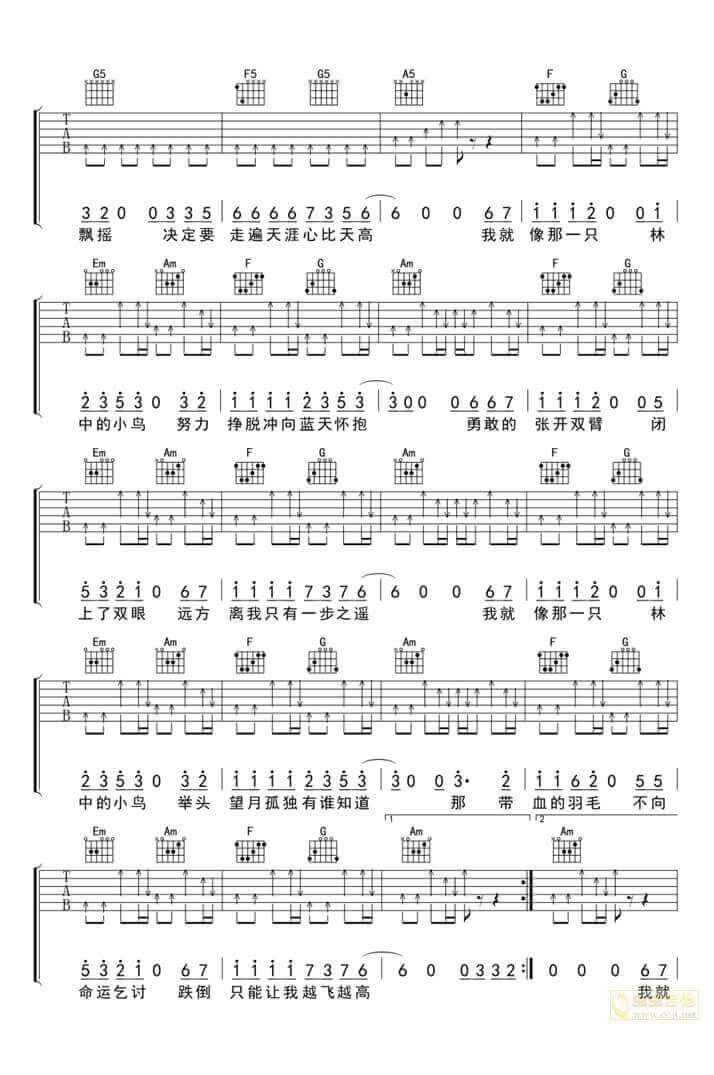 林中鸟吉他谱-葛林-《林中鸟》C调简单版弹唱六线谱-高清图片谱插图2