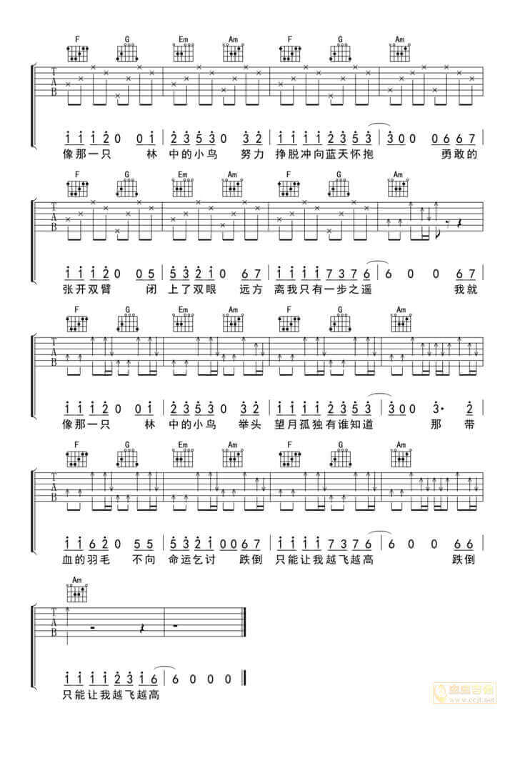 林中鸟吉他谱-葛林-《林中鸟》C调简单版弹唱六线谱-高清图片谱插图2